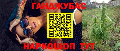дурь Сланцы