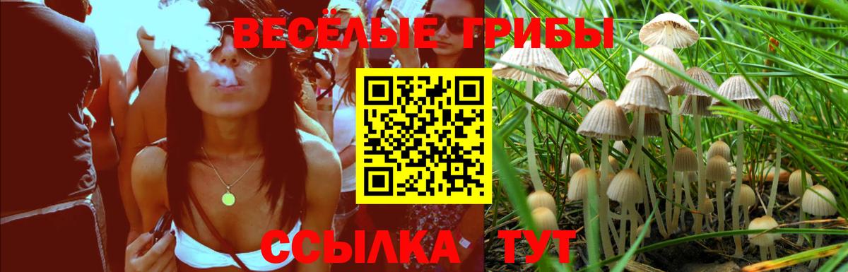 Канабис Тамбов